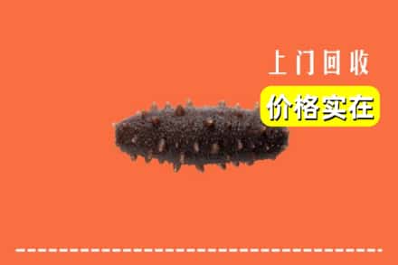 诚信求购:凉山喜德县高价回收海参