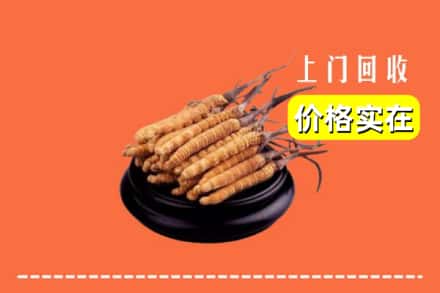 诚信求购:凉山喜德县高价回收冬虫夏草